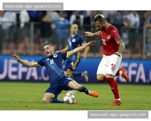 绿茵场上的宿命对决：波黑vs伊朗，比分背后的血性与权谋