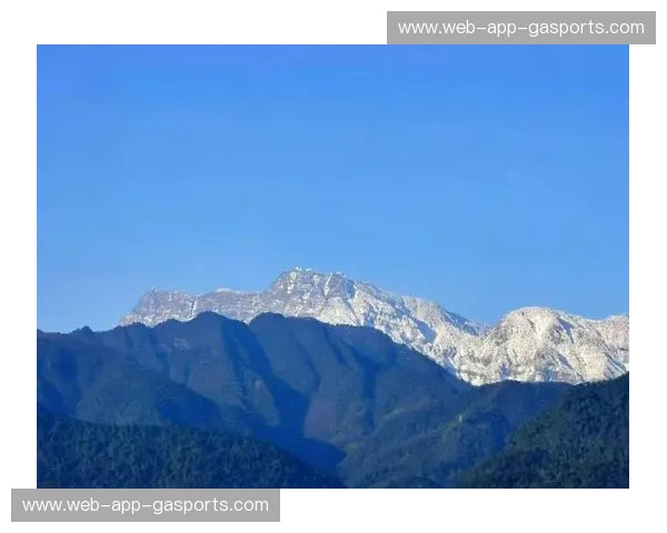 蓝色的怒吼与白山的脊梁：苏宁与延边的那一抹绿茵绝唱